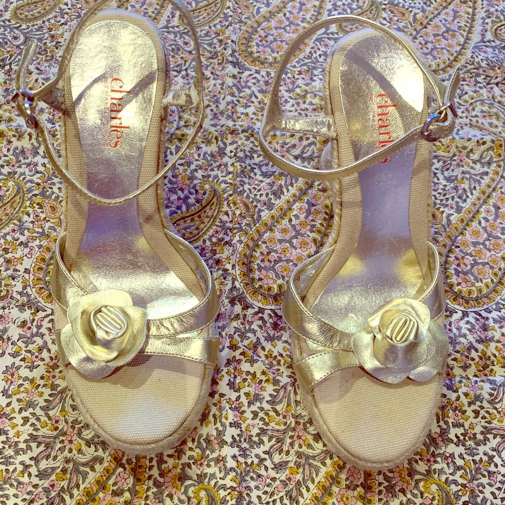 Charles by Charles David Wedge Sandals